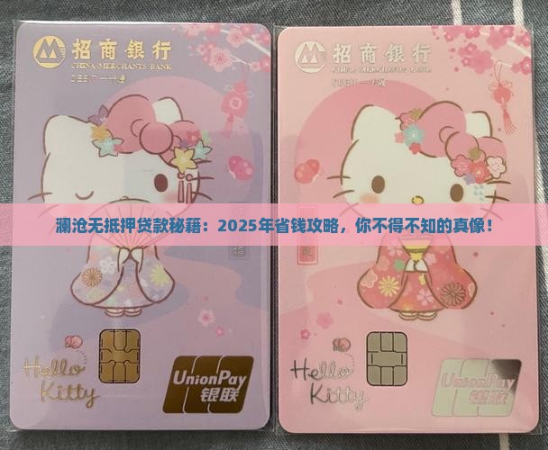 澜沧无抵押贷款公司