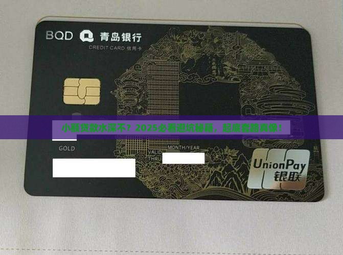 严整小额贷款
