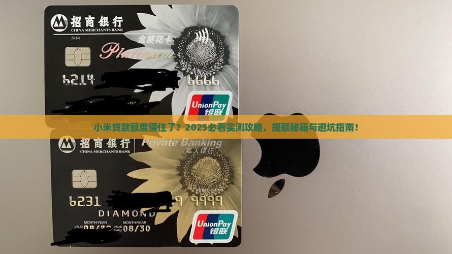 小米贷款好久不提额了