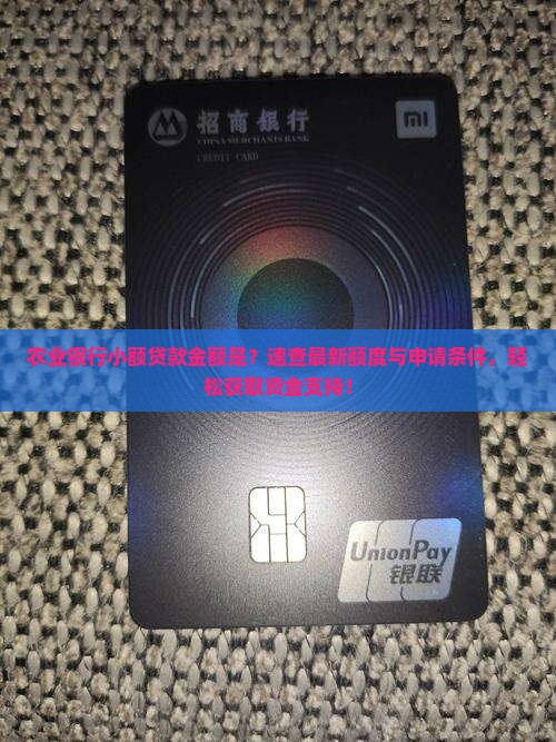 农业银行小额贷款金额是