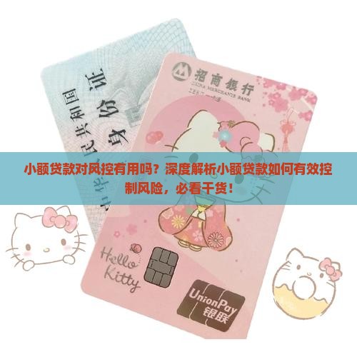小额贷款对风控有用吗