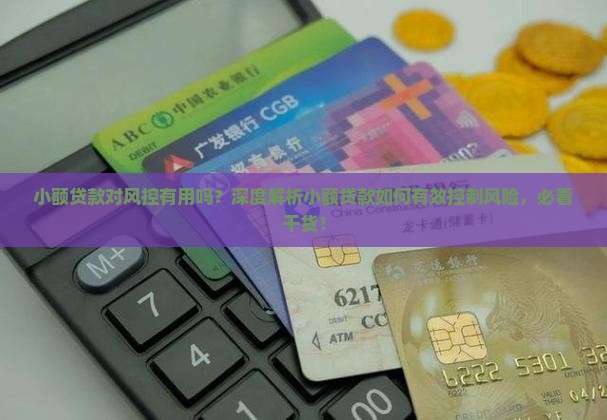 小额贷款对风控有用吗
