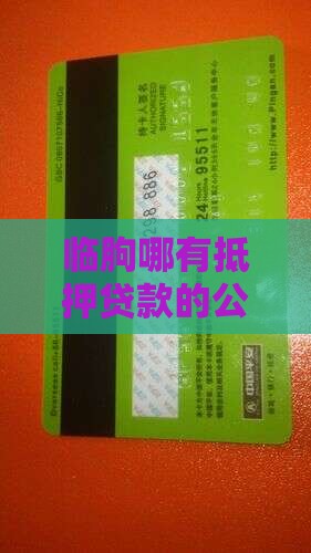 临朐哪有抵押贷款的公司