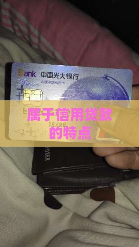 属于信用贷款的特点