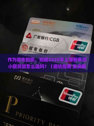 上海新奉贤小额贷款