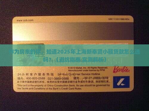 上海新奉贤小额贷款
