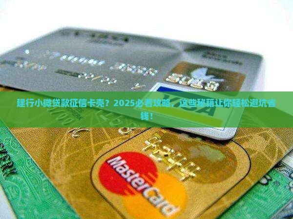 建行小微贷款征信通不过