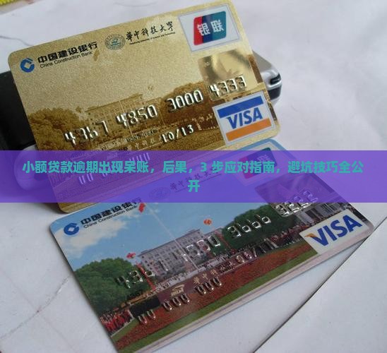 小额贷款逾期出现呆账