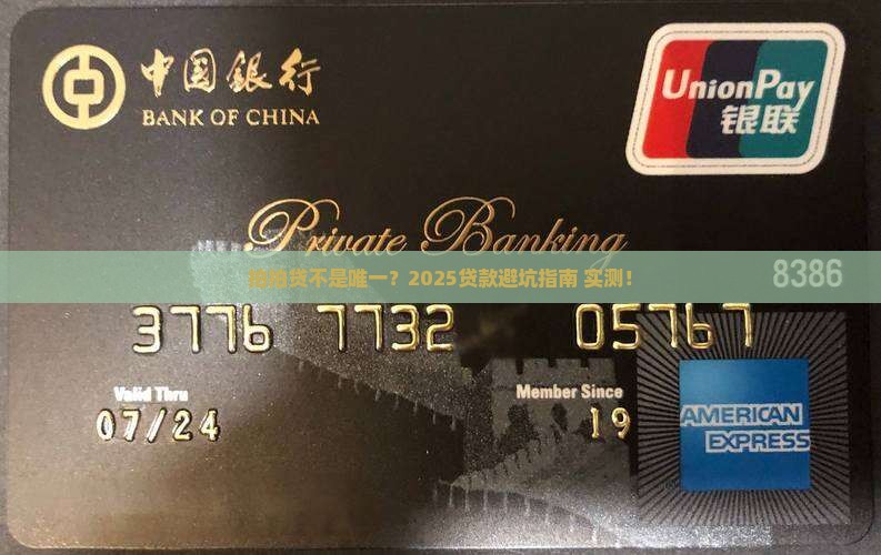 只有拍拍贷可以贷款吗