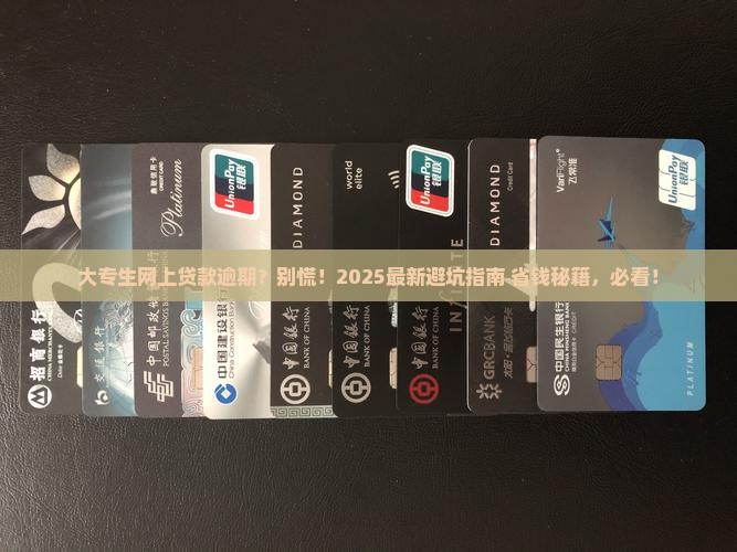 大专生网上贷款逾期