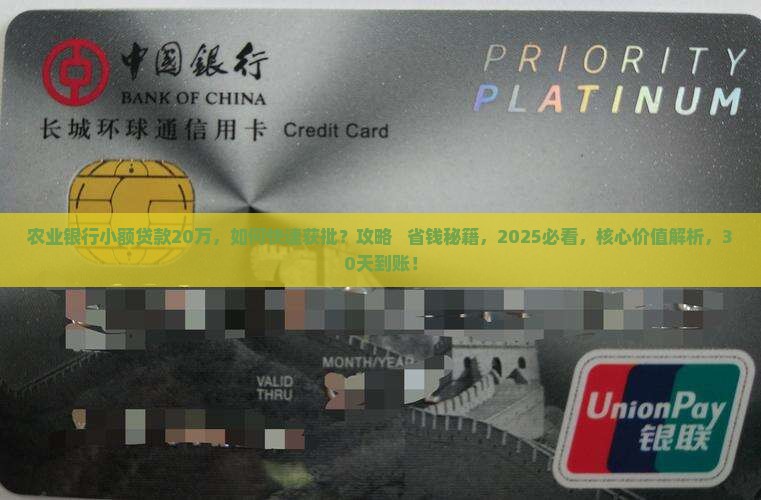 农业银行小额贷款20万