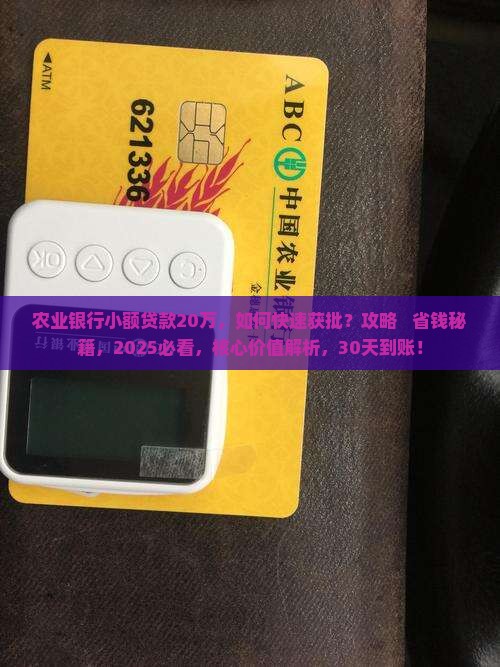 农业银行小额贷款20万
