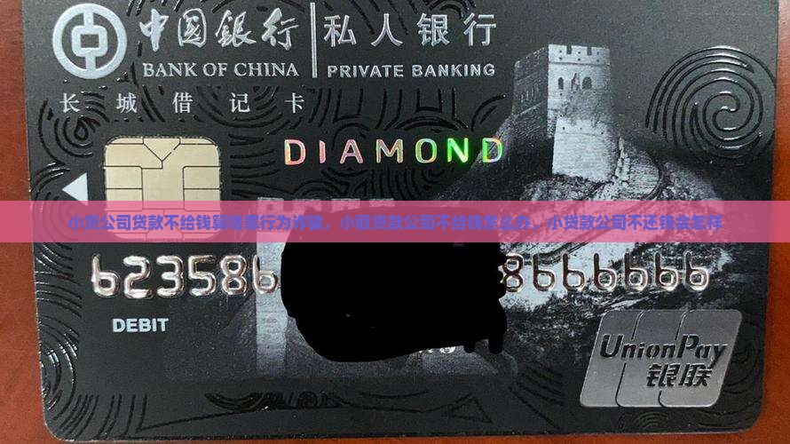 小贷公司贷款不给钱算啥