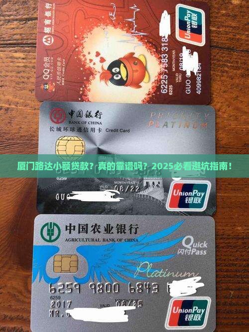 厦门路达小额贷款