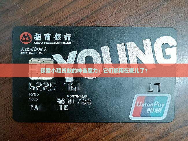 探索小额贷款的神奇魔力：它们都用在哪儿了？