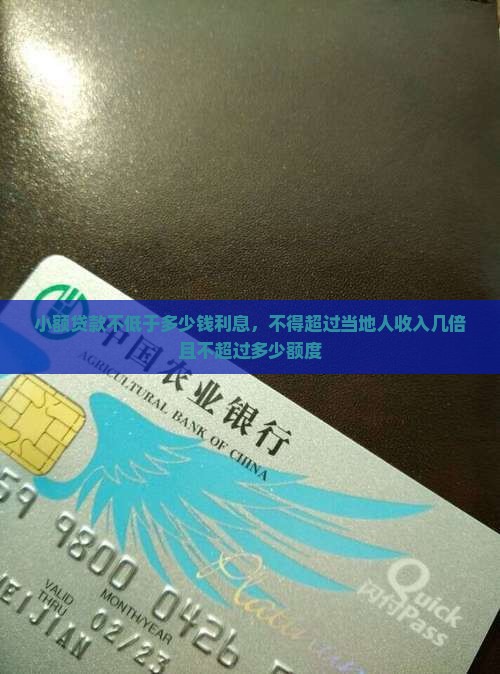 小额贷款不低于多少钱利息，不得超过当地人收入几倍且不超过多少额度
