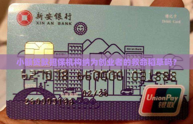 小额贷款担保机构纳为创业者的救命稻草吗？