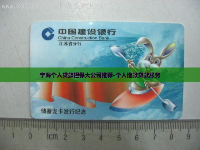 宁海个人贷款担保大公司推荐-个人借款贷款服务