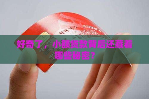 好奇了，小额贷款背后还藏着哪些秘密？