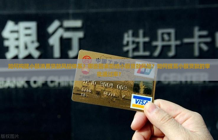 如何构建小额消费贷款风控体系？哪些因素影响小额贷款风险？如何提高小额贷款的审批通过率？