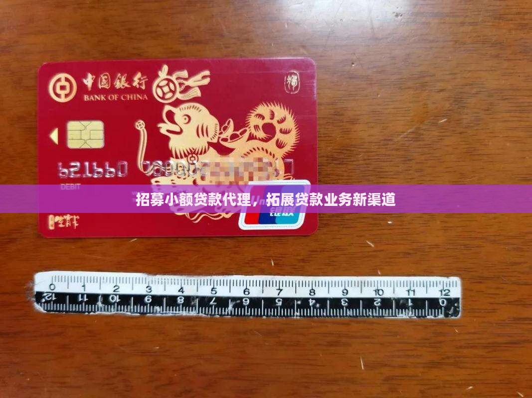 招募小额贷款代理，拓展贷款业务新渠道