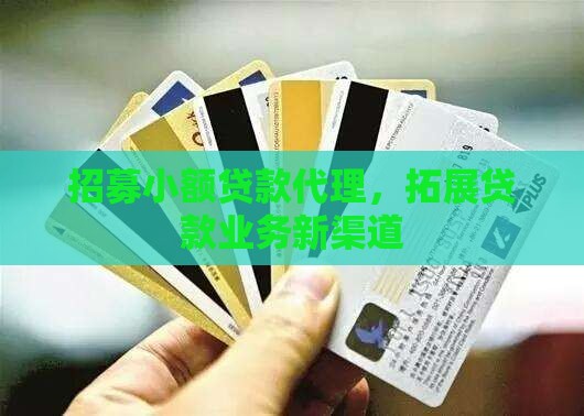 招募小额贷款代理，拓展贷款业务新渠道