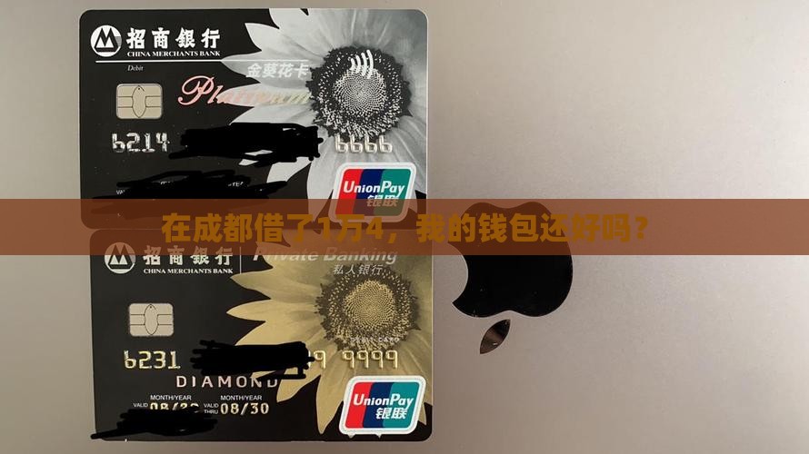 在成都借了1万4，我的钱包还好吗？