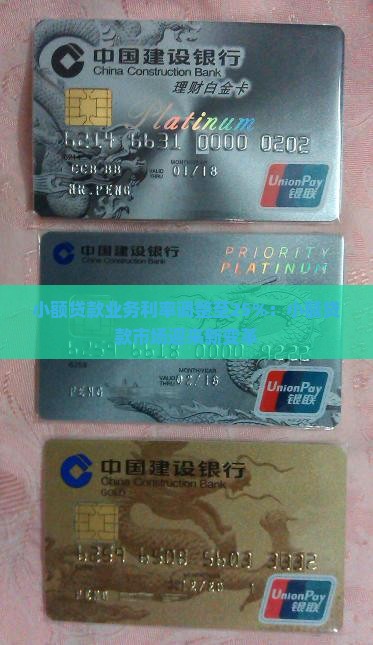 小额贷款业务利率调整至25%：小额贷款市场迎来新变革