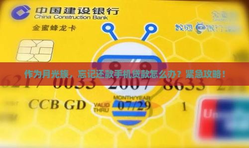 作为月光族，忘记还款手机贷款怎么办？紧急攻略！