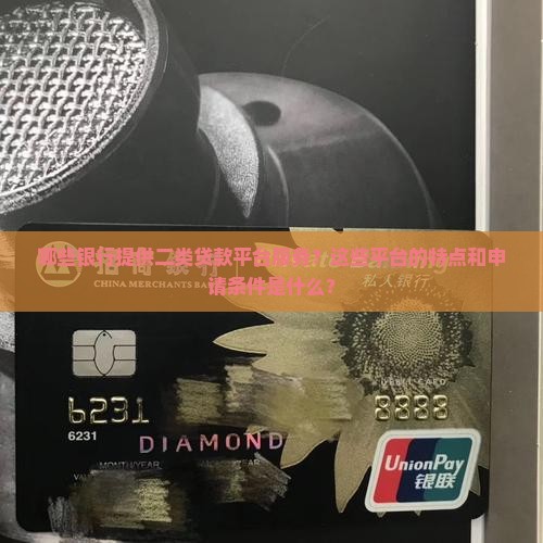 哪些银行提供二类贷款平台服务？这些平台的特点和申请条件是什么？