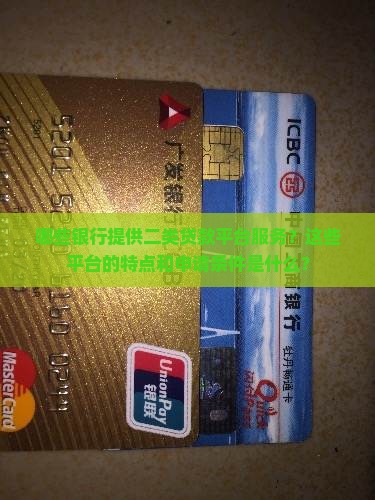 哪些银行提供二类贷款平台服务？这些平台的特点和申请条件是什么？