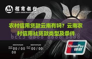 农村信用贷款云南有吗？云南农村信用社贷款类型及条件