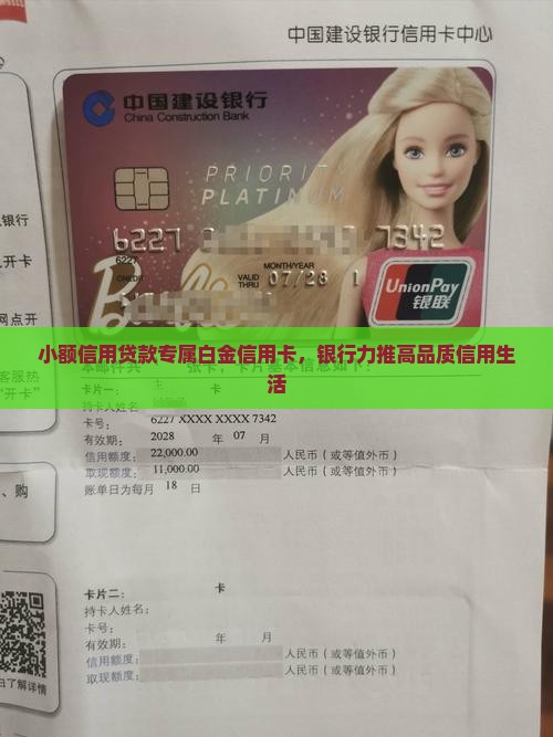 小额信用贷款专属白金信用卡，银行力推高品质信用生活