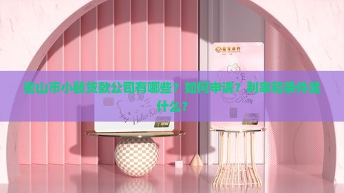密山市小额贷款公司有哪些？如何申请？利率和条件是什么？