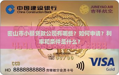 密山市小额贷款公司有哪些？如何申请？利率和条件是什么？