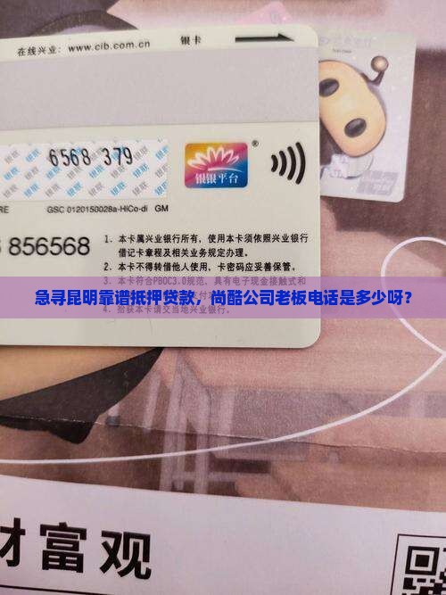 急寻昆明靠谱抵押贷款，尚酷公司老板电话是多少呀？