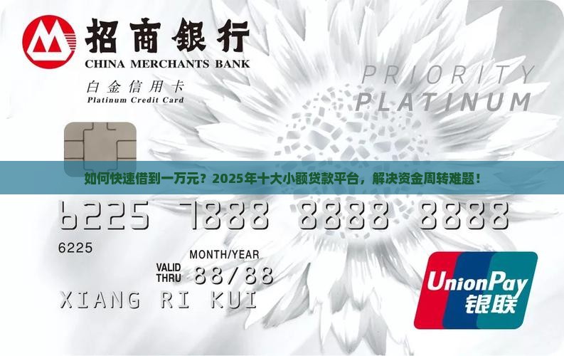 如何快速借到一万元？2025年十大小额贷款平台，解决资金周转难题！