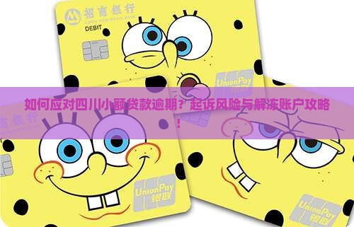 如何应对四川小额贷款逾期？起诉风险与解冻账户攻略！