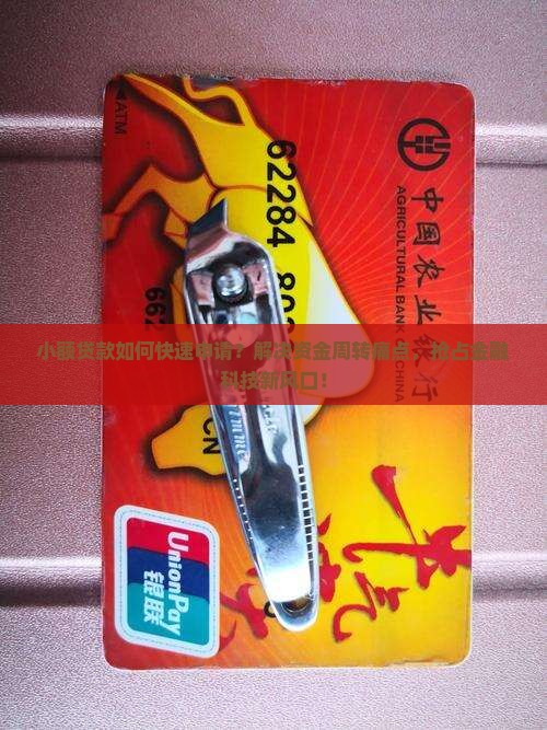 小额贷款如何快速申请？解决资金周转痛点，抢占金融科技新风口！
