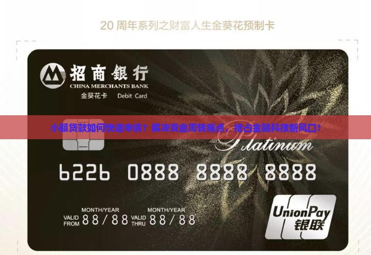 小额贷款如何快速申请？解决资金周转痛点，抢占金融科技新风口！