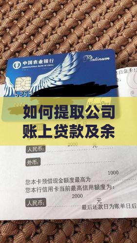 如何提取公司账上贷款及余额操作指南
