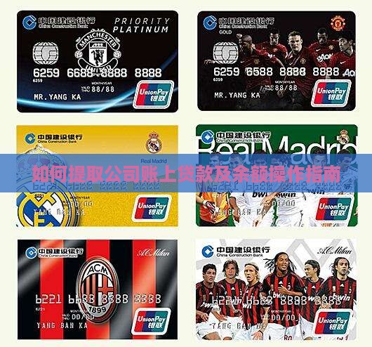 如何提取公司账上贷款及余额操作指南