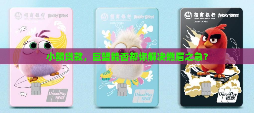 小额贷款，巨盟能否帮你解决燃眉之急？