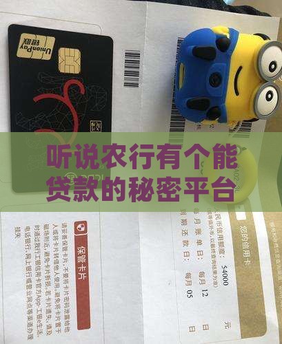 听说农行有个能贷款的秘密平台，你知道吗？
