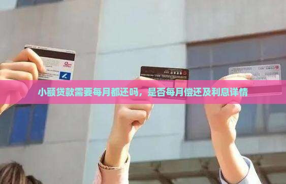 小额贷款需要每月都还吗，是否每月偿还及利息详情