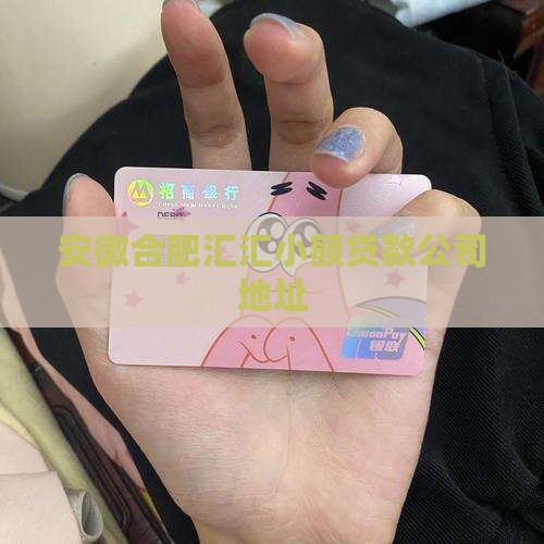 安徽合肥汇汇小额贷款公司地址