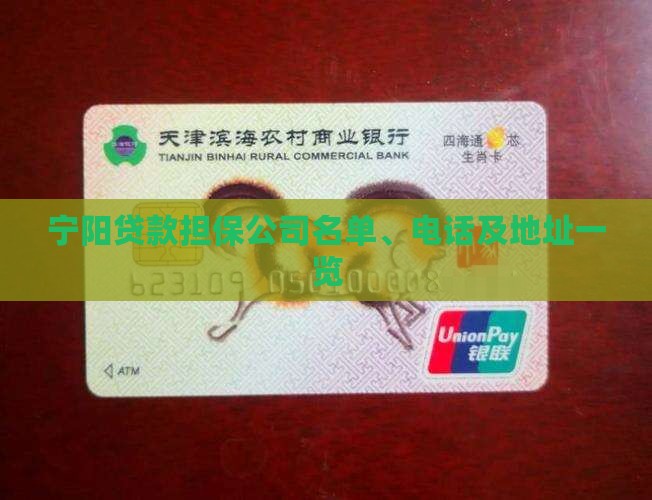 宁阳贷款担保公司名单、电话及地址一览