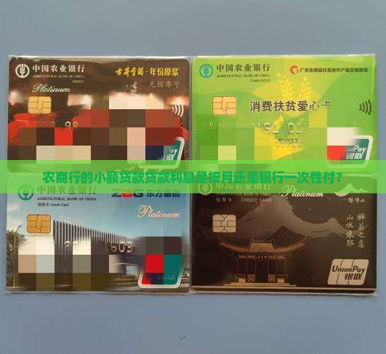 农商行的小额贷款贷款利息是按月还是银行一次性付？