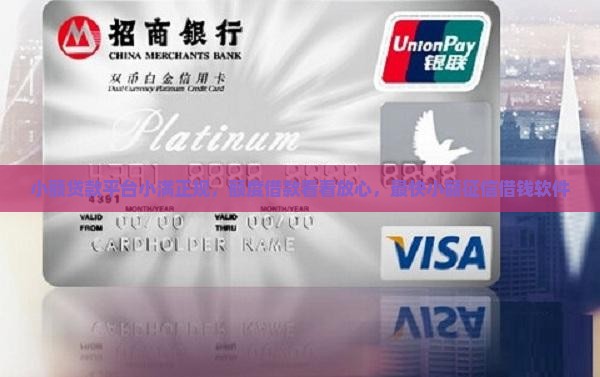小额贷款平台小满正规，额度借款看看放心，最快小额征信借钱软件