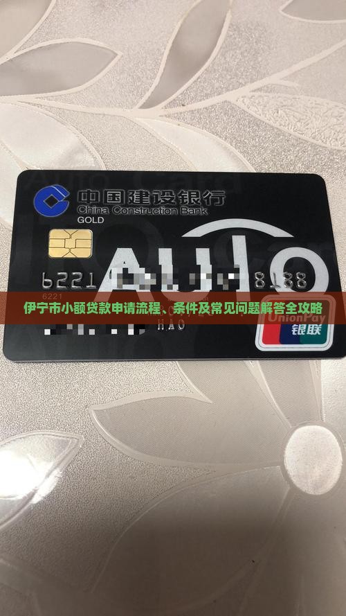 伊宁市小额贷款申请流程、条件及常见问题解答全攻略